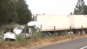 Árbol cae sobre la Autopista del Sol y provoca fatal accidente: Hay kilométrico taco