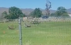 Dos carabineros lesionados tras choque entre caballos durante actividad ecuestre en Curacaví