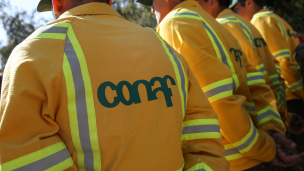 Declaran alerta roja para la comuna de Cauquenes por incendio forestal