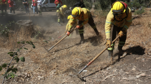 Construirán 3.200 kilómetros de cortafuegos para prevenir incendios forestales entre Atacama y Magallanes