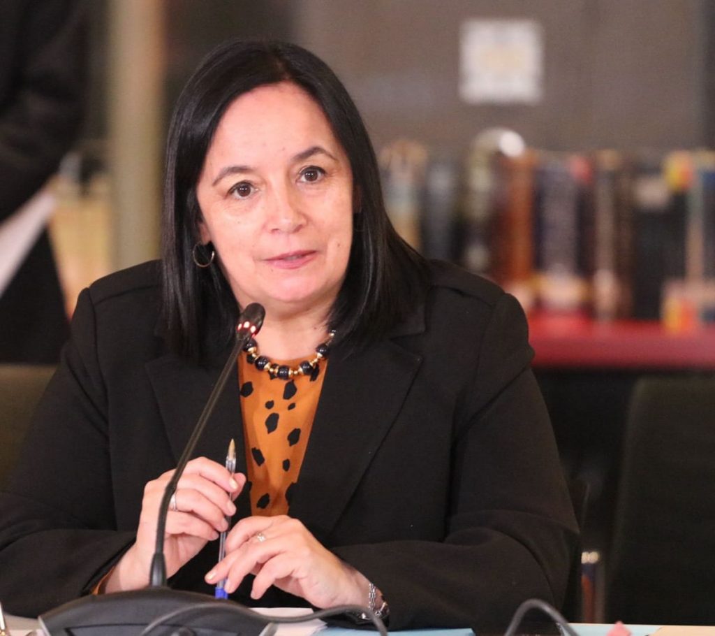 Senadora Aravena pide que Gobierno y transportistas lleguen a un acuerdo: “De lo contrario, será el país el que resulte perjudicado”