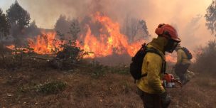 Alerta Roja por incendios forestales en comunas de Limache y Pelluhue