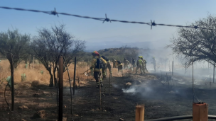 Incendio forestal en Las Condes ha consumido al menos dos hectáreas