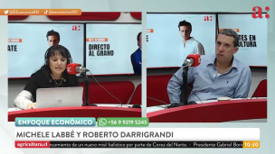 Michele Labbé por admisibilidad de la reforma de pensiones: 