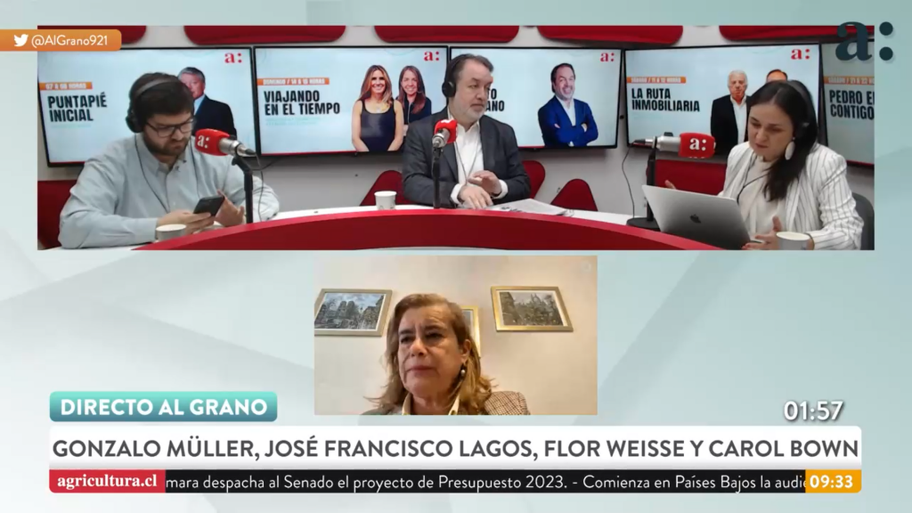 Carol Bown: “Nuevamente la educación se centra en temas de carácter político y dejamos de lado su calidad”