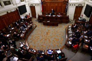 Amarillos por Chile rechaza los acuerdos entre oficialismo y oposición de cara al nuevo proceso constitucional