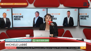 Michele Labbé por paro de camioneros: 