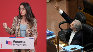 Ministra Vallejo le respondió a senador Moreira: 