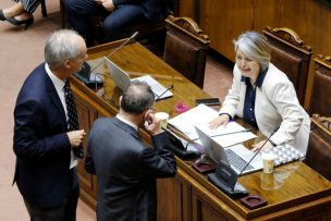 Senado aprobó la extensión del postnatal de emergencia hasta fin de año