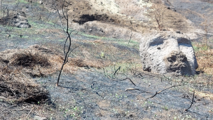 UNESCO financiará plan de gestión para afrontar daños tras incendio en Parque Nacional Rapanui