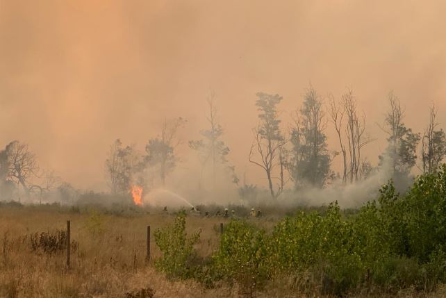 Municipalidad de Melipilla habilitó albergue para afectados por incendio forestal