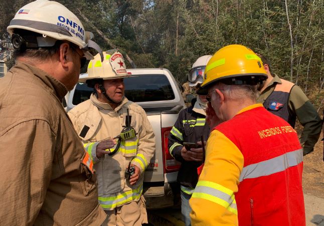 Comandante de Bomberos por incendio en Jardín Botánico de Viña del Mar: “Tenemos riesgos para viviendas del sector”