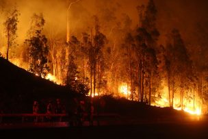 Alerta Amarilla para la Región de OHiggins por incendios forestales simultáneos