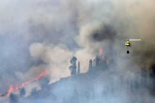 Alerta Roja para la comuna de Quillota por incendio forestal: Fuego amenaza sectores habitados