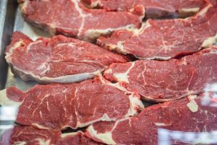 Roban camión con 10 mil kilos de carne, avaluado en 140 millones de pesos en Cañete