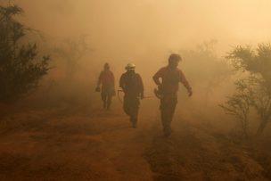 Alerta Roja para Melipilla por incendio forestal cercano a sectores poblados