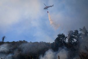 Onemi reporta incendios forestales activos en diez comunas