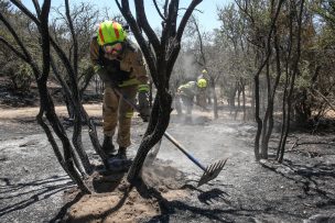 Onemi llama a evitar conductas de riesgo para prevenir la propagación de incendios forestales