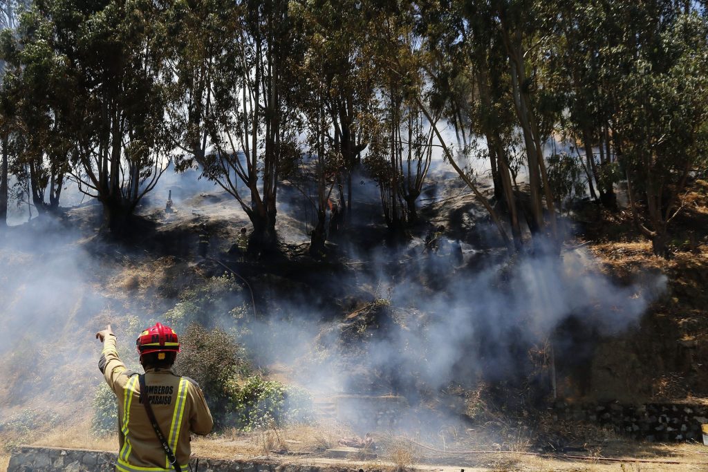 Región del Biobío: Alerta Roja para la comuna de Laja por incendio forestal
