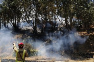 Región del Biobío: Alerta Roja para la comuna de Laja por incendio forestal