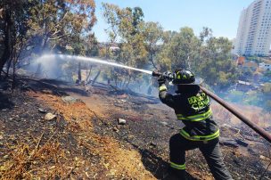 Balance por incendios forestales: Seis comunas en Alerta Roja y 9 siniestros se mantienen en combate