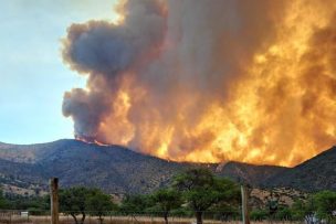 Se mantienen activas cuatro alertas rojas en el país por incendios forestales