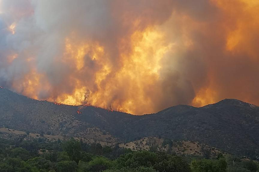 Diputado UDI acusó al gobierno de actuar “lento” frente a los incendios y anunció que citó al ministro de Agricultura