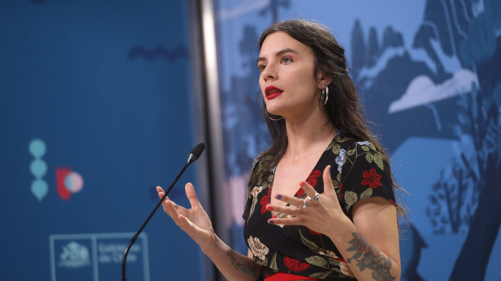 Vallejo y salida de exseremi de Desarrollo Social: “No fue diligente respecto sobre un posible caso de violación”