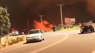 Evacúan cuatro sectores de Melipilla por incendio forestal