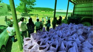 Agricultores de Cabrero apuestan por el compostaje para producir verduras orgánicas y sin químicos