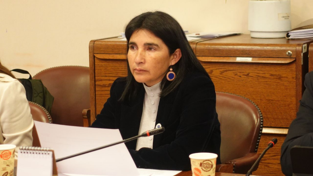 Diputada Ahumada exige Estado de Excepción en la macrozona norte: Catalogó las medidas del Gobierno como “insuficientes”