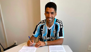 Se queda en Sudamérica: Gremio oficializa el fichaje de Luis Suárez