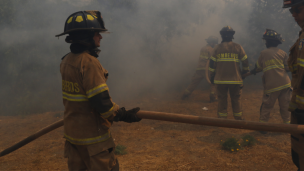 Alerta Roja para Chillán por incendio forestal