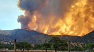 Balance de Incendios forestales: Onemi reporta 16 focos activos y nueve alertas rojas a nivel país