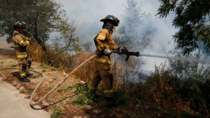 Onemi declara alerta roja para la comuna de Cauquenes por incendio forestal