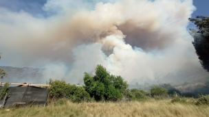 Declaran alerta roja para la comuna de Lolol por incendio forestal