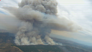 Onemi activa mensajería SAE para evacuar dos sectores en Santa Cruz por incendio forestal