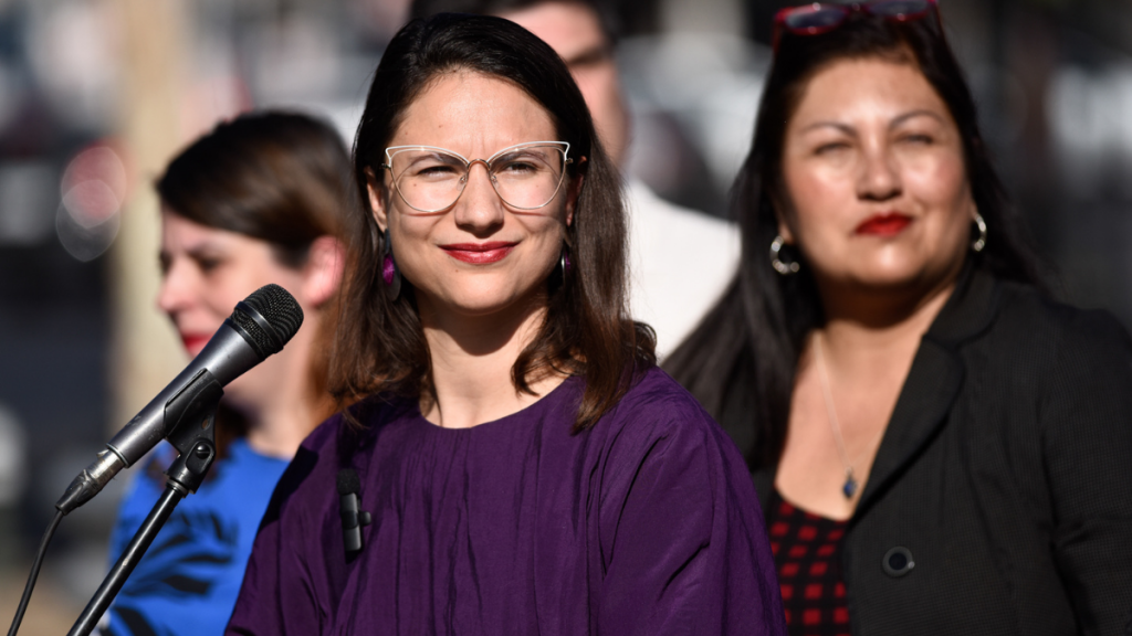 “Crítico estado de inseguridad e insalubridad en Santiago”: Cámara aprueba proyecto que cuestiona gestión de Hassler