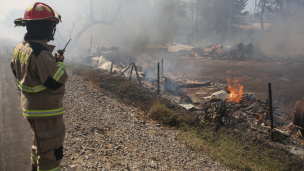 Onemi solicita evacuar cuatro sectores de Santo Domingo por incendio forestal