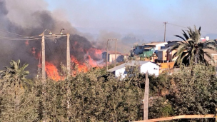 Alerta roja en Viña del Mar por incendio forestal: Onemi ordena la evacuación de cinco sectores de la comuna