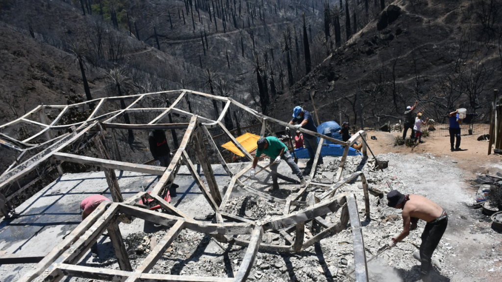 Balance del incendio en Viña del Mar: 110 hectáreas consumidas por las llamas y al menos 270 viviendas resultaron dañadas