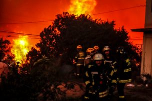 Incendio forestal con riesgo de propagación en Isla Maipo