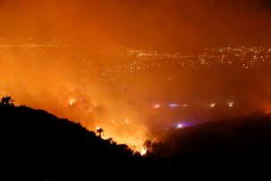 Conaf precisó que incendio forestal en Viña del Mar 