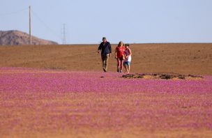 Consejo de Ministros para la Sustentabilidad aprueba la creación del Parque Nacional Desierto Florido