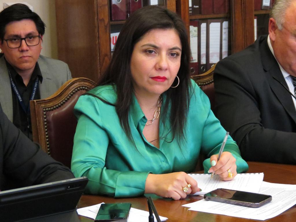 Diputada Astudillo exige explicaciones al Minsal por reo contagiado en ex Penitenciaría