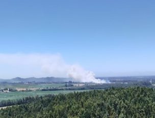 Declaran Alerta Roja en Los Ángeles por incendio forestal cercano a sitio habitado