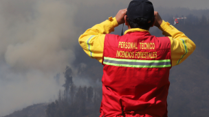 Onemi declara alerta roja para la comuna de Portezuelo por incendio forestal que amenaza a viviendas