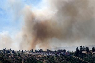 Decretan alerta roja por incendio forestal en Curacaví: Ha consumido más de 200 hectáreas