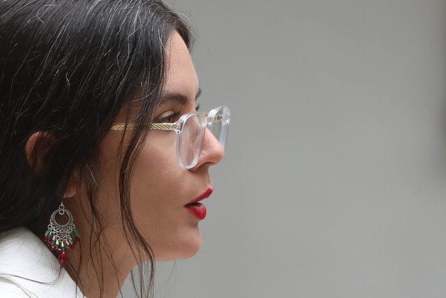 Ministra Vallejo y dichos de Matthei por espacios públicos: “Hay un esfuerzo inédito, sin distinción de color político”