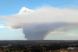 Onemi dispuso la evacuación de 10 sectores de Quilpué y Santo Domingo por incendios forestales